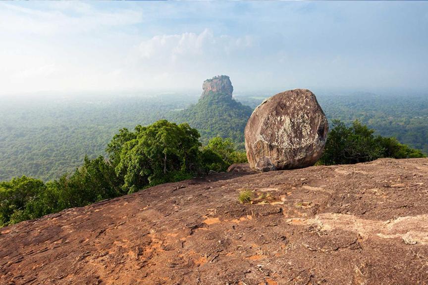 Sigiri Lion Lodge Sigiriya Exterior foto