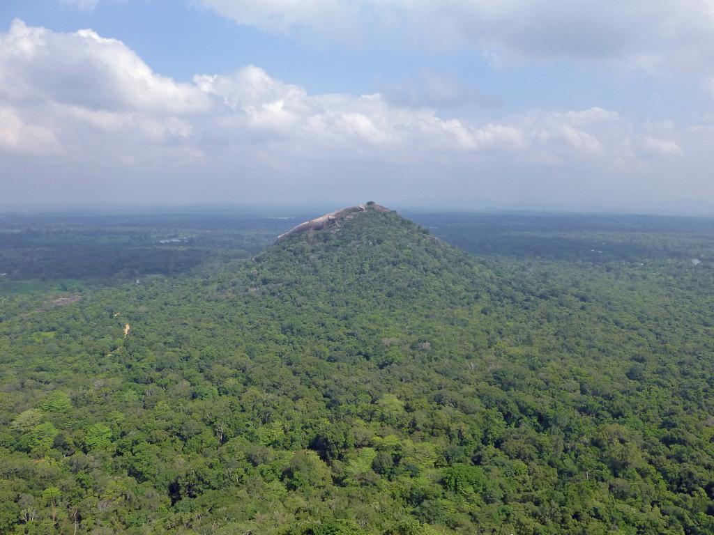 Sigiri Lion Lodge Sigiriya Exterior foto